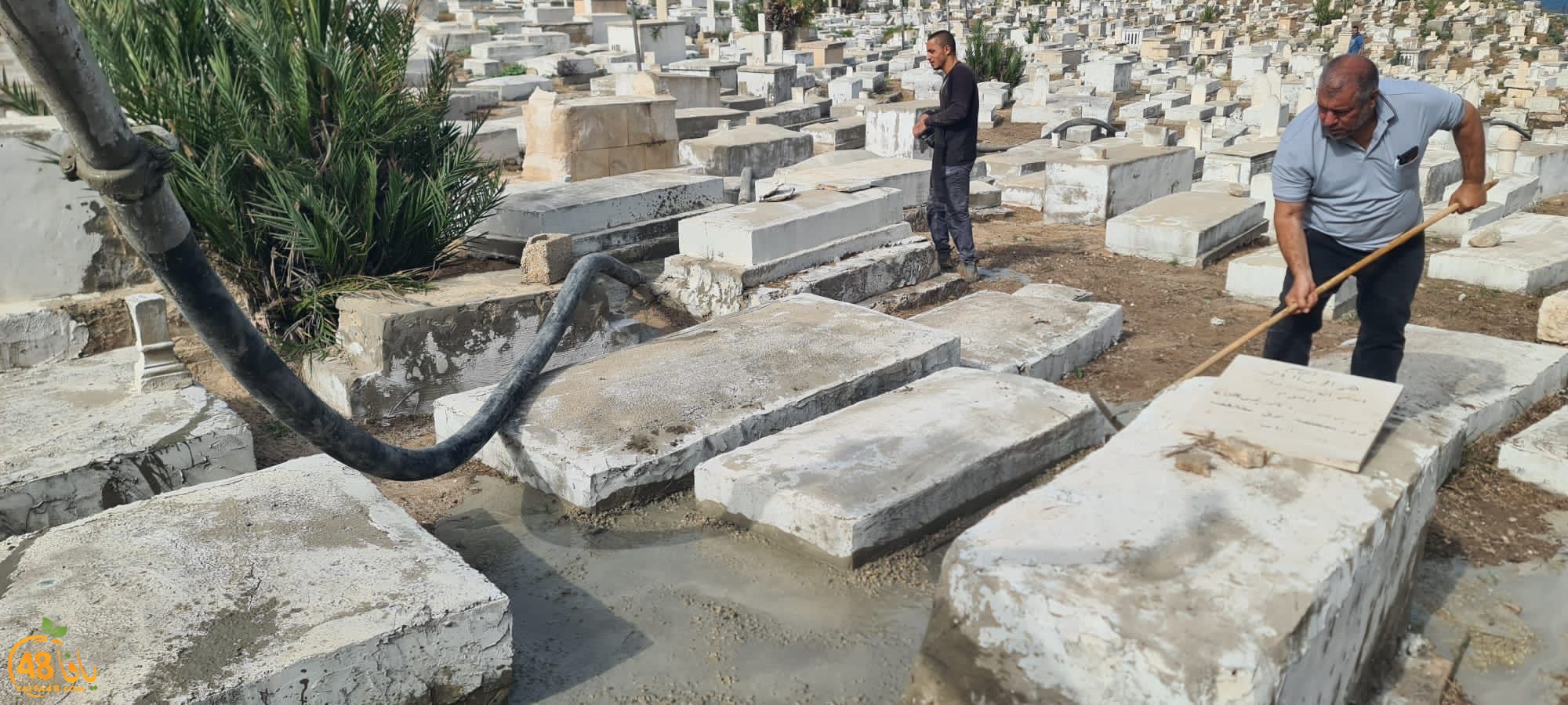 WhatsApp Image 2023-06-03 at 10.11.57 AM (1).jpeg